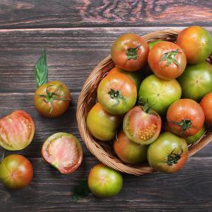 아삭 짭쪼름한 부산 대저 토마토 2.5kg