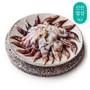 [품질보장] [더신선] 남해안 자연산 손질 새조개 속살 500g 30미내외 / 부드럽고 달큰