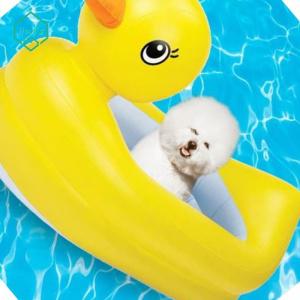 오리 튜브 강아지 보트 물놀이 용품 수영 반려견 구명조끼 장난감