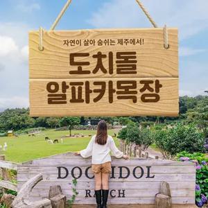 [제주] 도치돌알파카목장