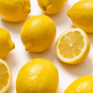과일꾼 최상급 팬시 레몬 점보 대과 제주레몬