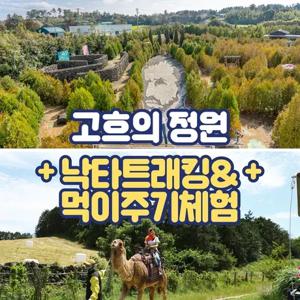 [제주] 고흐의정원+낙타트래킹&먹이주기체험
