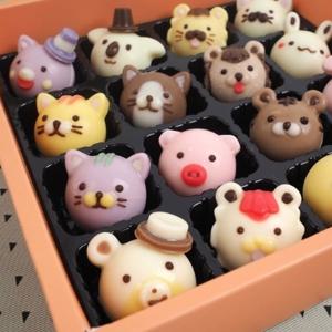 붐스토리  동물얼굴 초콜릿 만들기세트 DIY/발렌타인데이/선물/수제/파베/바크