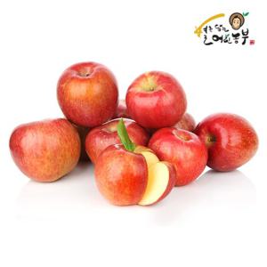  아침이슬사과  까다롭게 엄선한 23년 경북 꿀 햇부사 사과 가정용 9kg 소과(50-65과)