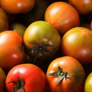  피쉬데이  산지직송 대저 짭짤이 토마토 부산 대저토마토 2.5kg