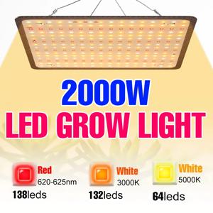 LED 식물 전구 온실 실내 식물 램프 성장 텐트, 미국 EU 영국 플러그, 전체 스펙트럼 램프, 1000W, 1500W, 2000W