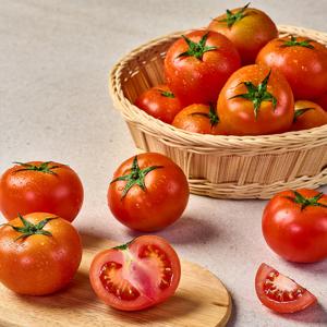 팜스프링 [2세트 구매시 어린잎채소 이벤트]유럽종 완숙 찰 토마토 2.5kg 5kg 주스용 정품
