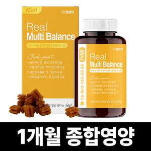 펫생각 리얼 멀티밸런스 강아지 종합영양제 66g