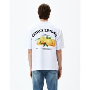 티엔지티   T-atelier  화이트 오버핏 레몬 자수 그래픽 반팔 티셔츠 TNTS3E208WT