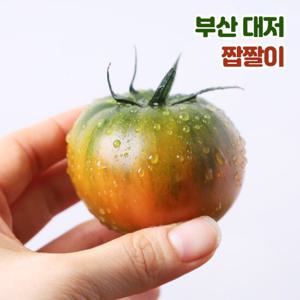[우리토마토]프리미엄 짭짤이 부산 대저토마토 2.5kg 로얄과S-3S