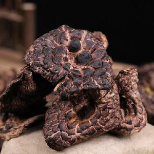 자연산 특품 능이버섯 1kg 대용량 냉동능이 건조 능이 백숙 삼계탕끓이는법 맛집 능이 버섯