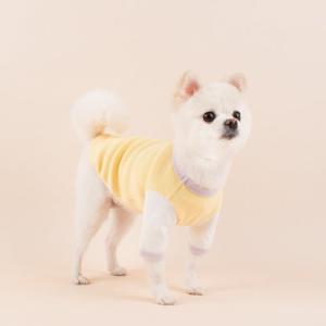 [체험팩]루비디 강아지옷 루루 티셔츠 옐로우