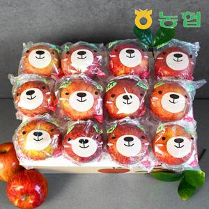 [농협] 아삭달콤 안동 세척사과 특품 2.5kg (13과내)