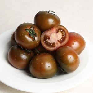 갤러리아_[농부마음]토마토의 귀족 흑토마토 5kg 랜덤과