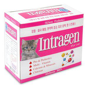 인트라젠 플러스 영양제 30포 / 강아지 고양이 장영양제 박스 (30개입)