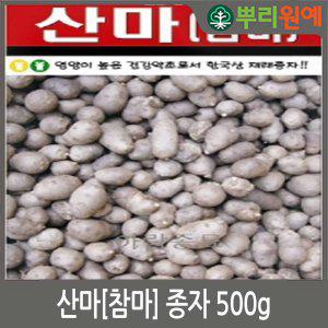 산마[참마] 종자 500g 뿌리원예/햇종자/단마/씨앗