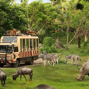 [발리 살아보기/사누르] 아이와 함께 발리 사파리파크 Bali Safari Park