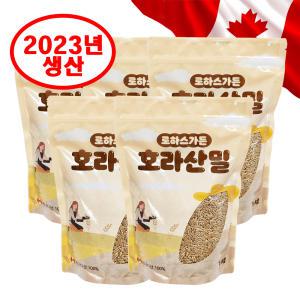 2023년 캐나다산 호라산밀 카무트쌀 5kg