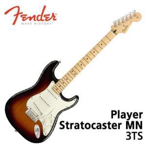 [프리버드] 펜더 일렉기타 Fender Mexico Player Stratocaster MN 3TS 014-4502-500
