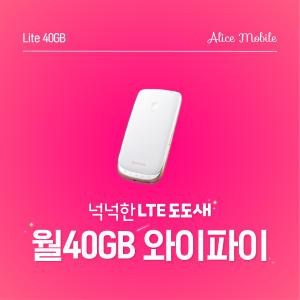 국내 앨리스와이파이 30일 40GB 휴대용 포켓와이파이 한국 에그대여 무선인터넷
