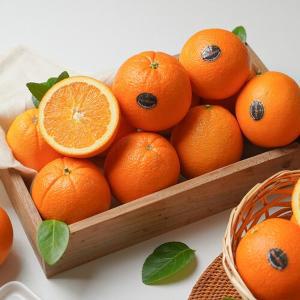 [미미의밥상]퓨어스펙 블랙라벨 고당도 오렌지 40과 (중소과)