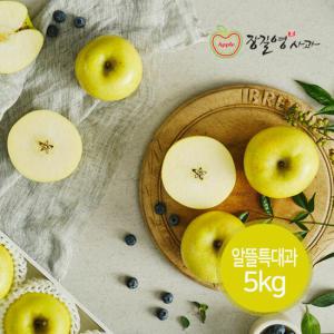[장길영사과] 시나노 골드 알뜰 특대과 5kg (10~16과내)