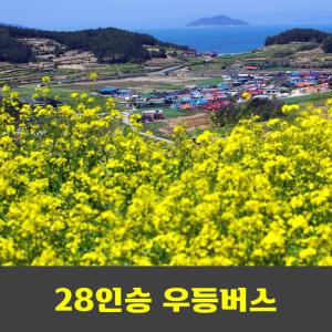 청산도 유채꽃 슬로걷기축제  안내산악회
