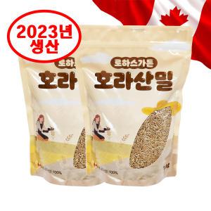 2023년 캐나다산 호라산밀 카무트쌀 2kg