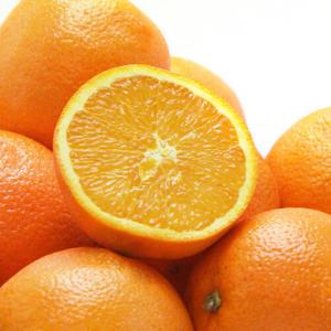 [후레쉬데이] 네이블 오렌지 18kg (88수)/개당 200g내외 (중과)