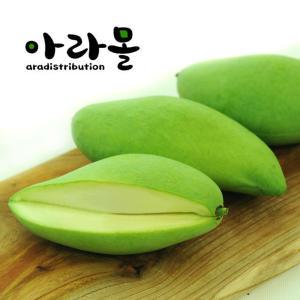 태국 그린망고 (Thailand Green Mango),  3-4과(1kg)