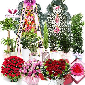 [엔젤스플라워] 축하 꽃바구니 꽃다발 생일 개업 출산 프로포즈 전국 꽃배달 서비스 예약배송 당일배송
