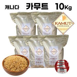 카무트 쌀 10Kg 정품 캐나다산 골드 코스트코 카뮤트 호라산밀 카무드 컬러쌀 카무드 밥 고대곡물