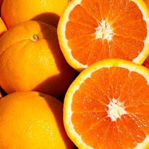 실속형 카라카라 오렌지 5kg, 10kg(사이즈랜덤)