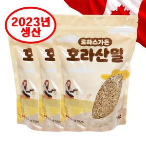 2023년 캐나다산 호라산밀 카무트쌀 3kg