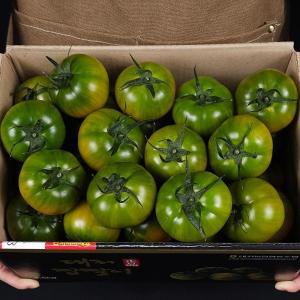 국내산 부산 대저 짭짤이 토마토 중과 2.5kg