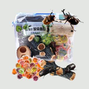 곤충프라자 장수풍뎅이사슴벌레키우기 기르기  성충포함사육세트