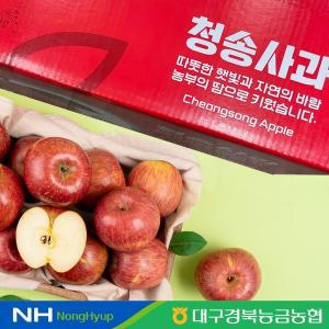 [대구경북능금농협]청송 정품 사과 10kg 46과내 부사