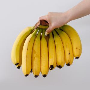 델몬트 필리핀 바나나 2송이 2.6kg 내외