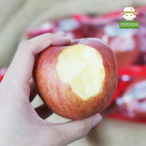 [롯데백화점]삼촌밥먹자 의성에서 보내드리는 꿀당도 아삭달콤 햇 흠집 사과(중) 10kg