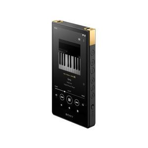 소니 워크맨 NW-ZX707 64GB MP3