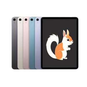 [apple]  아이패드 에어5세대 WIFI 64GB //정품