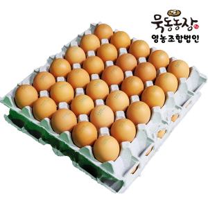[특란 60구]오늘산란 신선한고 고소한 무정란 달걀 30구+30구 묵동농장 영농조합법인 바른 계란