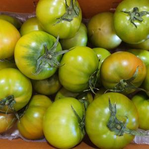 농협인증 대저 짭짤이 토마토 S과 2.5kg