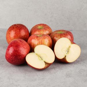 [오늘신선] 청송네자매 경북 청송 부사 사과 가정용 흠집 2kg(혼합랜덤과)