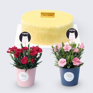 카네이션화분세트(레드+핑크) + 뚜레쥬르 고구마케익 꽃배송