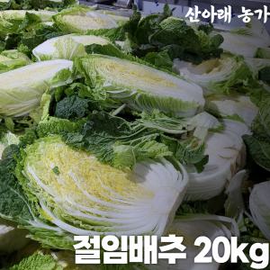 [산아래농가]강원도, 해남산 더 편리한 절임배추20kg