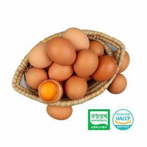 [알부자집] 무항생제 계란 대란 90구(30구X3판)