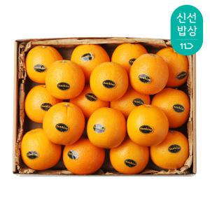 [품질보장] 프리미엄 썬키스트 정품 블랙 고당도 오렌지 20과 외