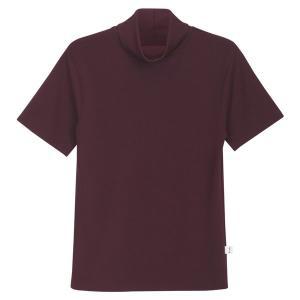 [모로엠]남자 활용성 좋은 목폴라 반팔 티셔츠 5C-TSH-Q037-와인
