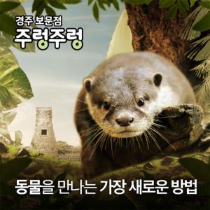 [경북] 애니멀 테마파크 동물원 주렁주렁 경주보문점 실내 먹이주기 체험